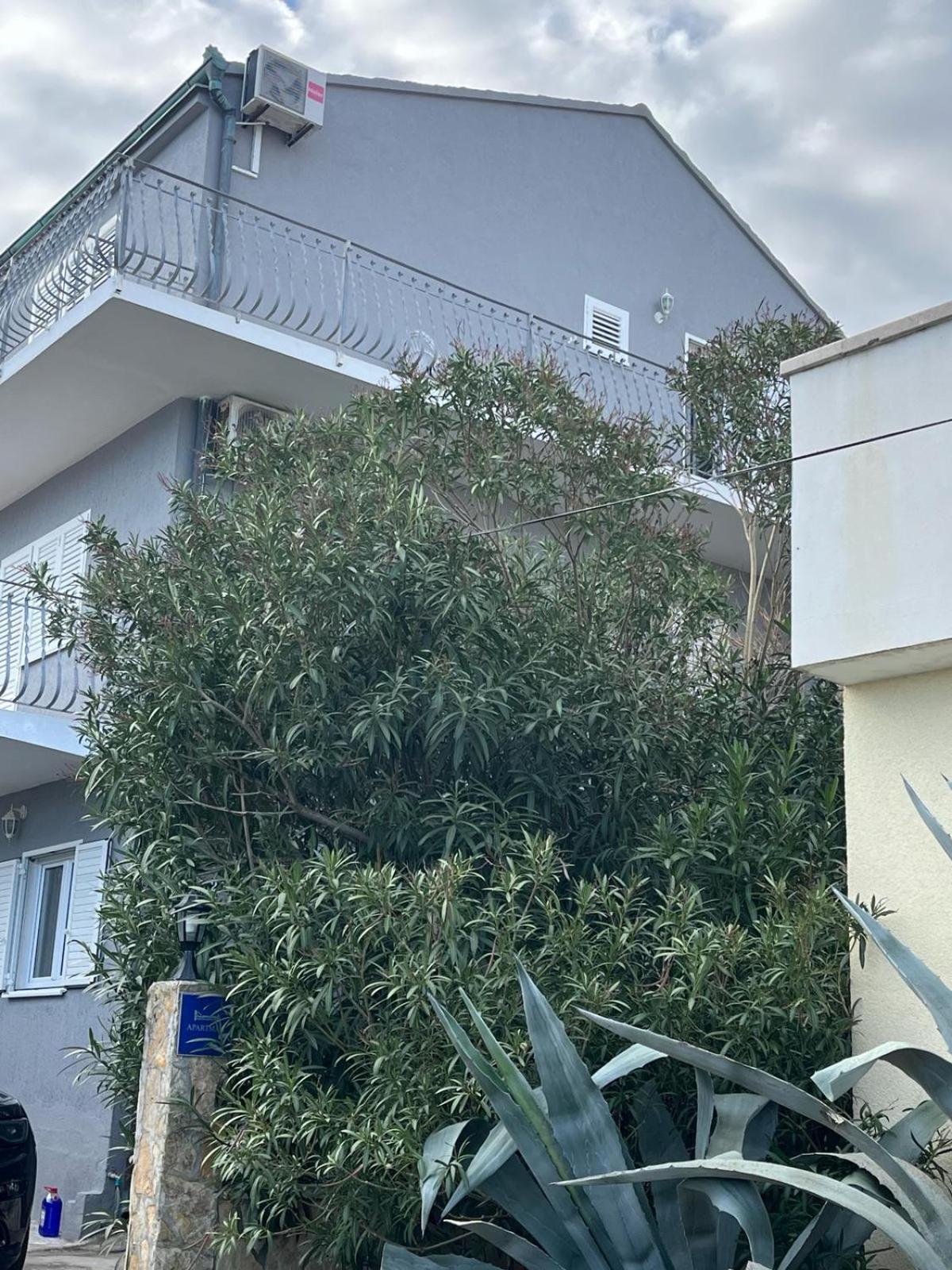 Apartmán Kalff *
